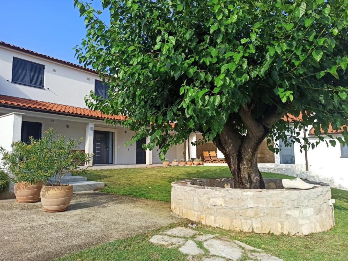 Villa Ivana 메덜린 외부 사진