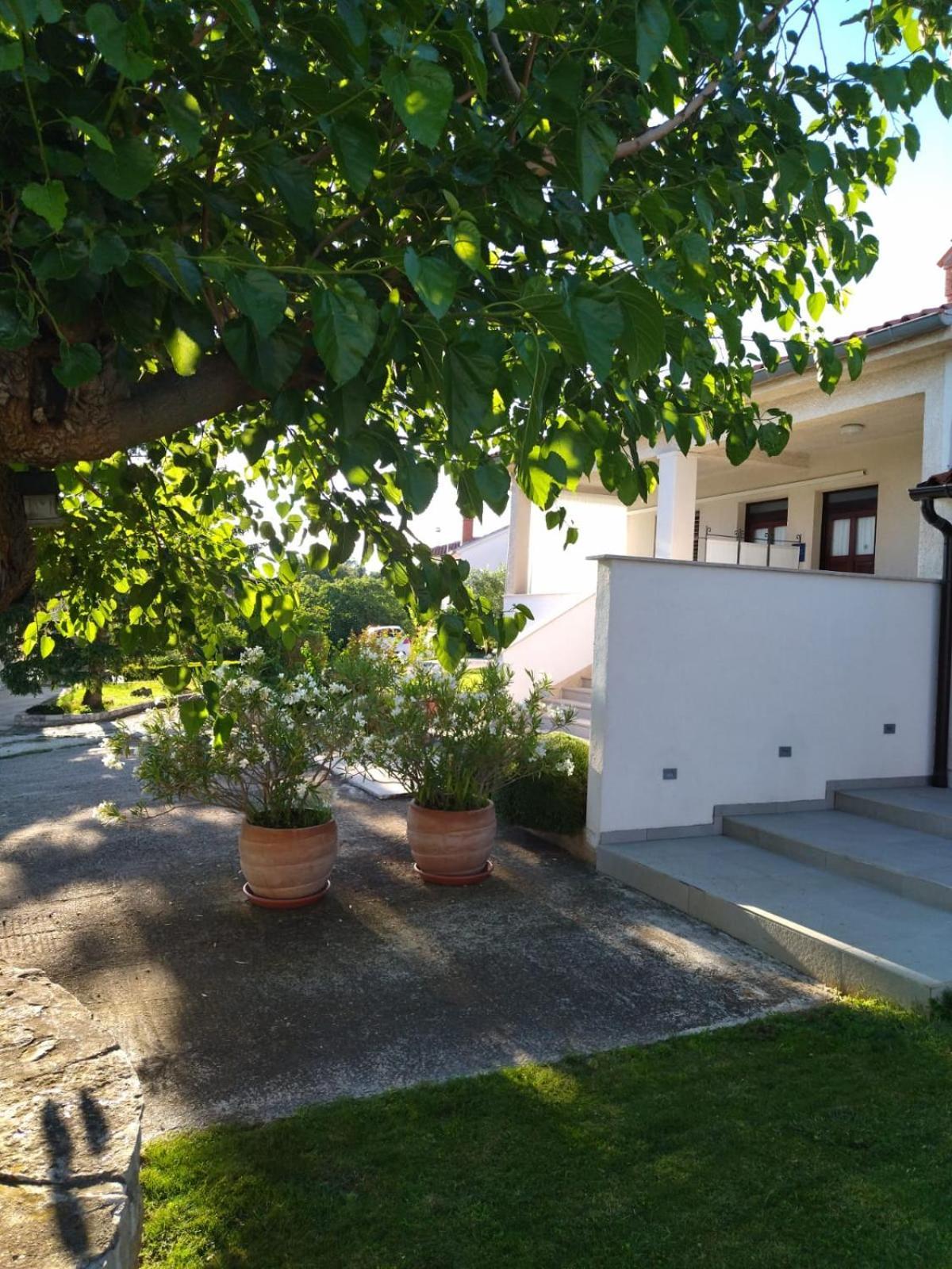 Villa Ivana 메덜린 외부 사진